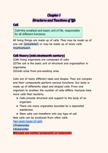 Cell Structures, Functions, and Energy Metabolism Biology Guide