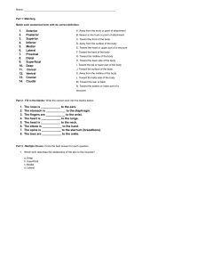 Anatomical Terminology Worksheet: Matching, Fill-in-Blanks, MCQs