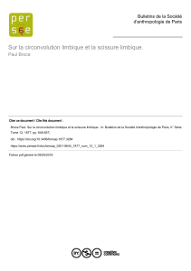 Circonvolution limbique & Scissure : &Eacute;tude anatomique de Broca (1877)
