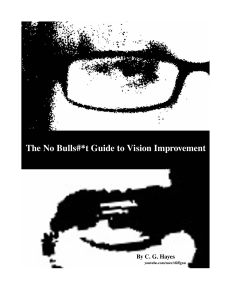 The No Bulls#*t Guide to Vision Improvement by C. G. Hayes