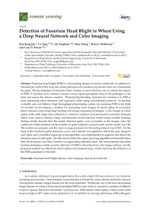 Detecting Fusarium Head Blight in Wheat with Deep Learning & Color Imaging