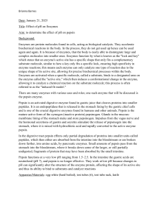 pH Effect on Pepsin: Enzyme Lab Report