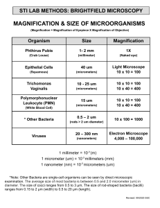 STI LAB METHODS-BRIGHTFIELD MICROSCOPY-MAGNIFICATION AND SIZE OF MICROORGANISMS (SSCHERRY)