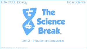 GCSE Biology: Infection & Response Revision Guide