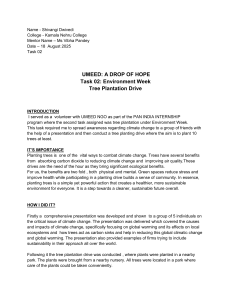 UMEED Internship Report: Tree Plantation Drive & Climate Awareness