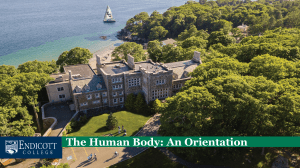 Human Body Orientation: Anatomy, Physiology & Homeostasis