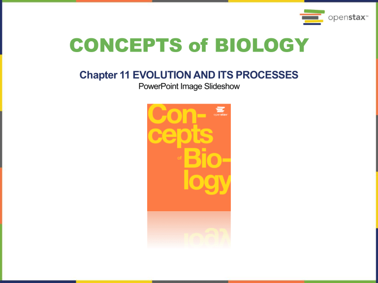 Concepts of Biology: Chapter 11 - Evolution and Its Processes (OpenStax)