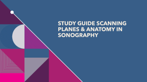 Sonography Scanning Planes & Anatomy Study Guide | Medical Imaging