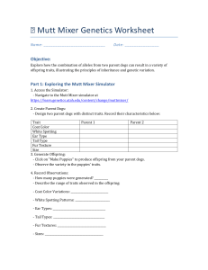 Mutt Mixer Genetics Worksheet: Inheritance & Diversity