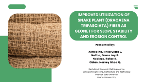 Snake Plant Fiber Geonet for Slope Stability
