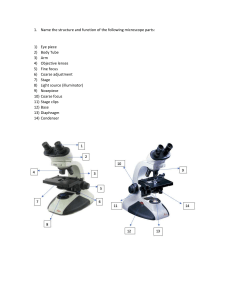Microscope Parts & Functions Worksheet
