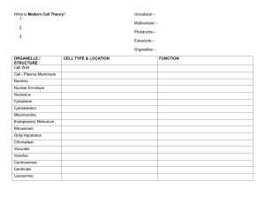 Modern Cell Theory & Organelles Worksheet | Cell Structure Disorders Assignment