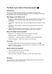 The Water Cycle: Stages, Importance, and Fun Facts
