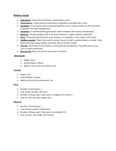 Botany Vocabulary: Angiosperms, Gymnosperms, and More