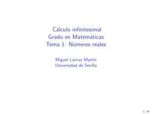 C&aacute;lculo Infinitesimal: N&uacute;meros Reales y Axiomas