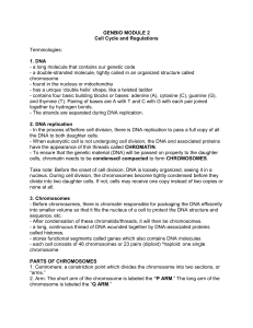 Cell Cycle and Regulations: DNA, Mitosis, Meiosis - GENBIO Module 2