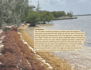 Red Mangrove Restoration: Volunteer Initiative Proposal