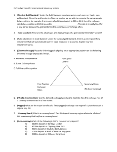 International Monetary System Exercises