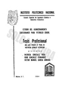 Tesis Almacenamiento Subterr&aacute;neo Petr&oacute;leo Crudo