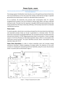 Cogeneration Power Plant Exam: Poultry Slaughterhouse Energy Design