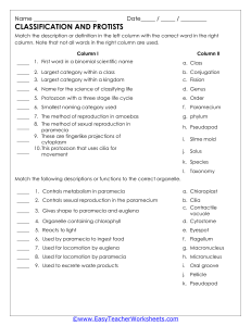Classification & Protists Worksheet: Taxonomy & Organelles