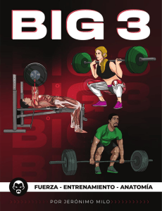 BIG 3: Entrenamiento de Fuerza, Manual de Anatomía por Jerónimo Milo