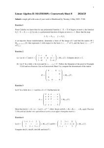 Linear Algebra Coursework Sheet: Exercises & Problems