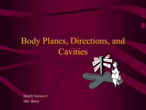 Body Planes, Directions, & Cavities: Health Science I Anatomy Guide