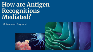 Antigen Recognition: How the Immune System Identifies Pathogens