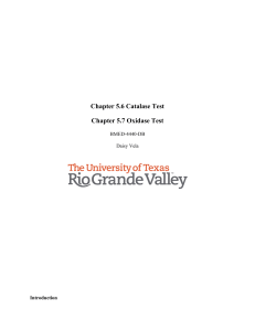 Catalase & Oxidase Tests Lab Report