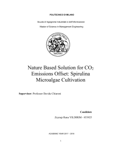 Spirulina for CO2 Offset: Microalgae Cultivation Thesis
