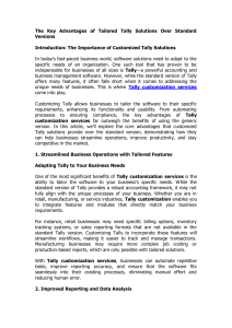 Tailored Tally Solutions: Key Advantages & Customization