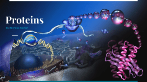 Proteins: Functions, Structure, and Polypeptide Construction