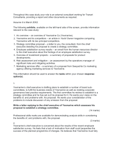 Yexmarine Co. Case Study: Strategy, Governance, Finance & HR Assessment