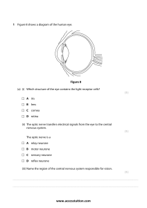 Human Eye & Nervous System Biology Questions | Reaction Time & Stem Cells