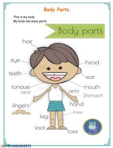 Body Parts Worksheet for Kids