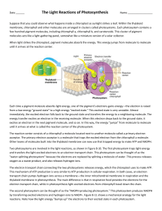 Photosynthesis Light Reactions Worksheet: Biology