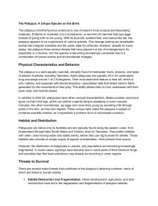 Platypus Conservation: Threats and Efforts