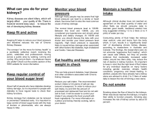 Kidney Health Tips: What You Can Do