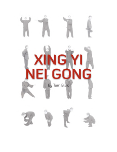 Xing Yi Nei Gong Exercises: Internal Strength & Health