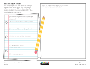 Exercise Your Senses: Human Body Activity for Kids | Tinybop