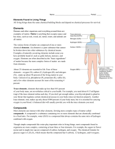 Elements in Living Things Worksheet