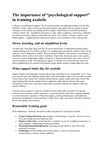 Axolotl Training: Psychological Support, Stress Reduction & Welfare Guide