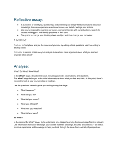 Reflective Essay Guide: What? So What? Now What?