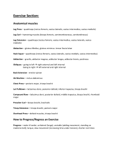 Exercise Guide: Muscles, Flexibility, Skinfolds