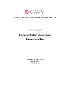 Customary International Law Identification: Advisory Report