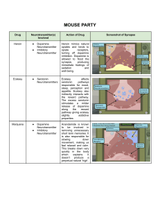 Drug Effects on Neurotransmitters: Mouse Party