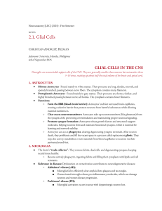 Glial Cells: Neuroanatomy Notes on CNS & PNS Support Cells