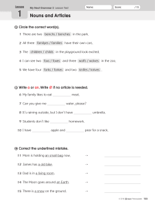 Nouns and Articles Grammar Test