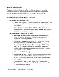 History of Human Anatomy: Timeline & Key Milestones